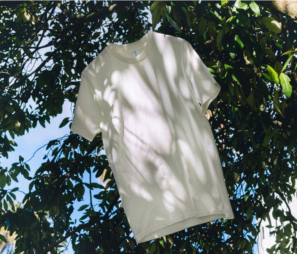 5001G STAPLE ORGANIC TEE