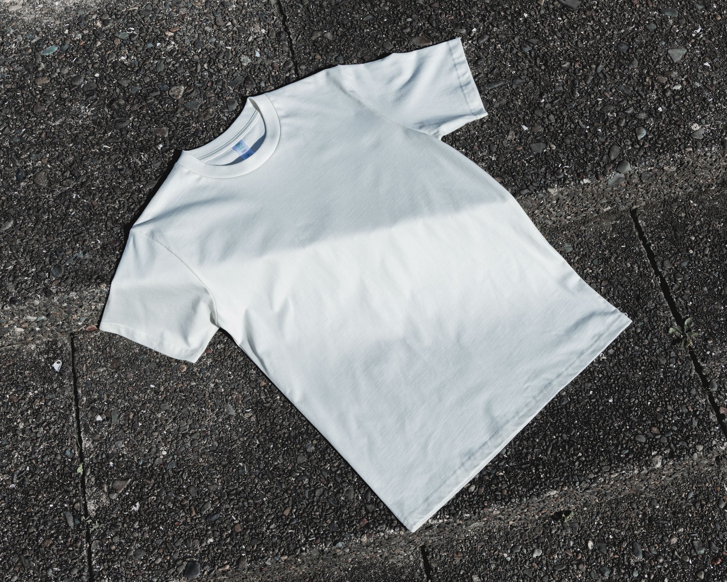 5026G CLASSIC ORGANIC TEE