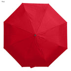 Windsor Umbrella