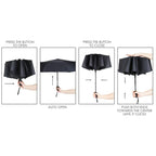 Windsor Umbrella